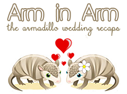armadillo wedding recaps graphic